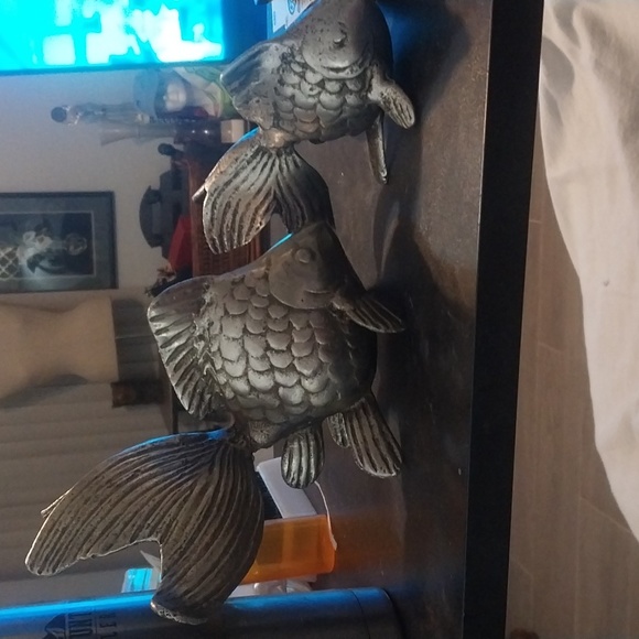 Small and large koi fish - Picture 4 of 8